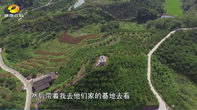 洪江市禹甜科技有限公司,農產品的批發零售