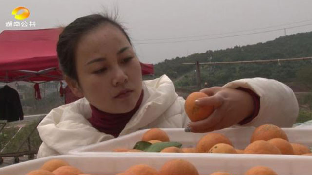 洪江市禹甜科技有限公司,農產品的批發零售