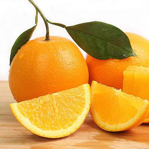 洪江市禹甜科技有限公司,黔陽瞐農產品的批發零售