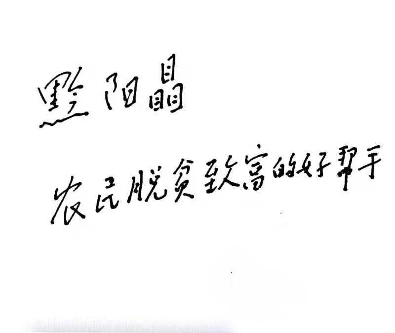 洪江市禹甜科技有限公司,黔陽(yáng)瞐農(nóng)產(chǎn)品的批發(fā)零售 洪江市禹甜科技有限公司,黔陽(yáng)瞐農(nóng)產(chǎn)品的批發(fā)零售