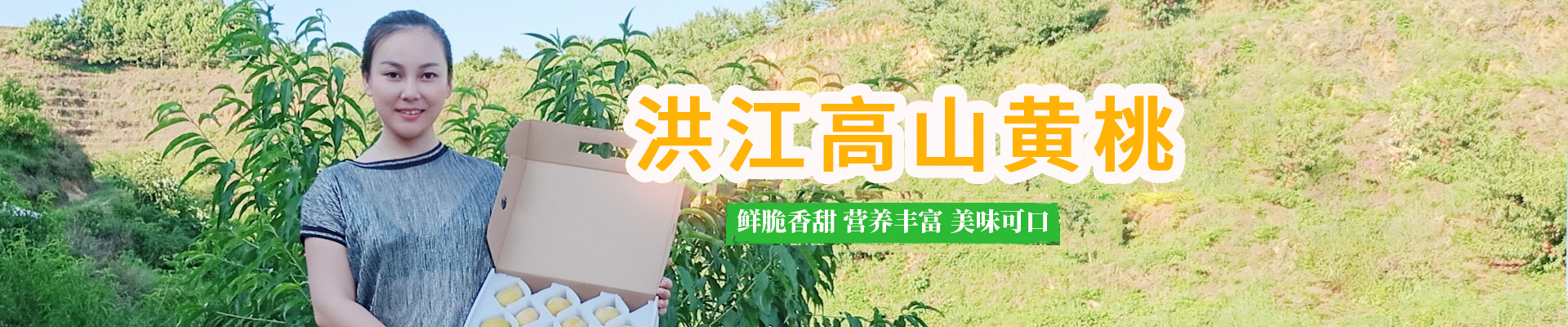 洪江市禹甜科技有限公司_黔陽瞐_農(nóng)產(chǎn)品的批發(fā)零售 洪江市禹甜科技有限公司_黔陽瞐_農(nóng)產(chǎn)品的批發(fā)零售